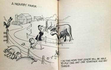 How to Teach Your Children About Sex...